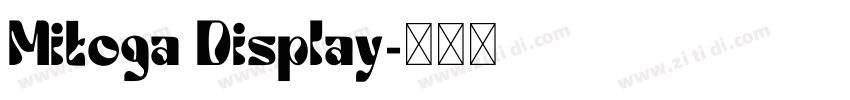 Mitoga Display字体转换